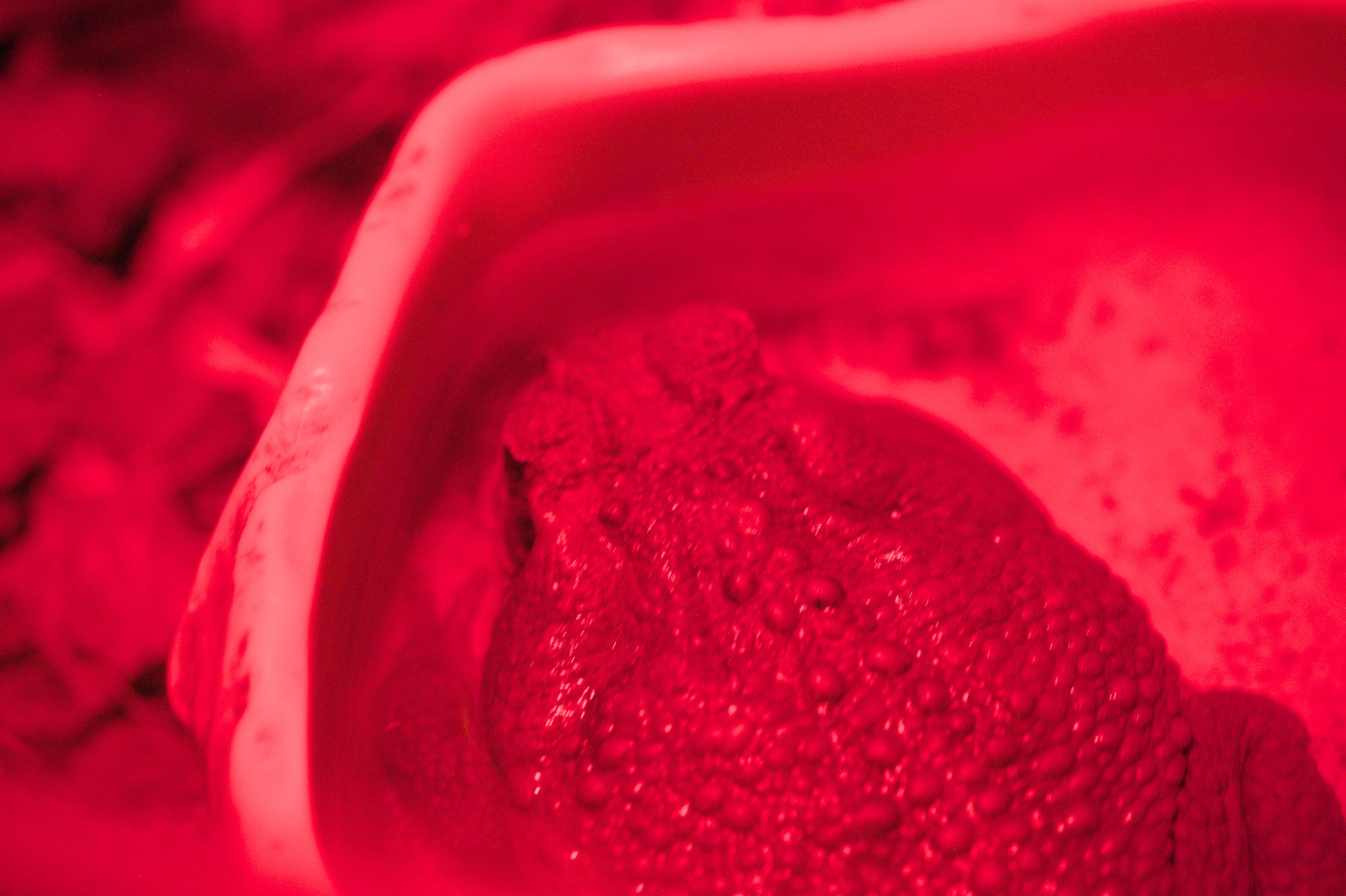 2025/10/12 - zoo/DSC_0247.jpg